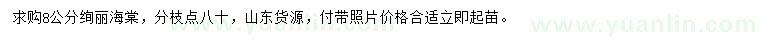 求購8公分絢麗海棠