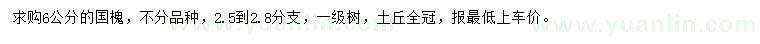 求購(gòu)6公分國(guó)槐
