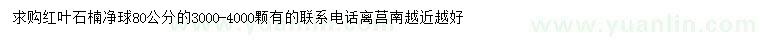 求購(gòu)冠幅80公分紅葉石楠球