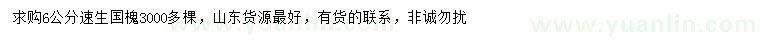 求購6公分速生國槐