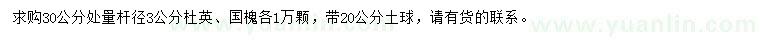 求購30公分處量桿徑3公分杜英、國槐