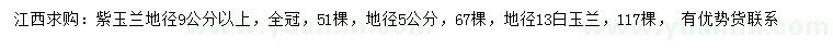 求購地徑5、9公分以紫玉蘭、13公分白玉蘭