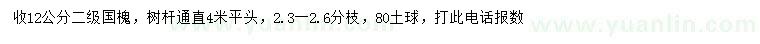 求購(gòu)12公分國(guó)槐