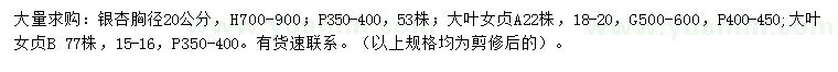 求購(gòu)胸徑20公分銀杏、15-16、18-20公分大葉女貞