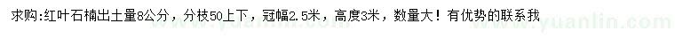 求購8公分紅葉石楠