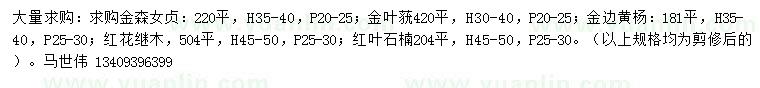 求購金森女貞、金葉蕕、金邊黃楊等