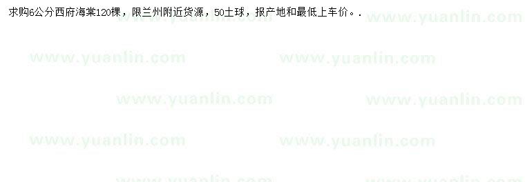 求購6公分西府海棠
