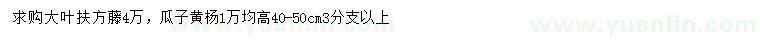 求購高40-50公分大葉扶方藤、瓜子黃楊