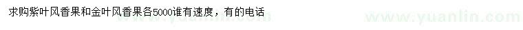 求購紫葉、金葉風香果