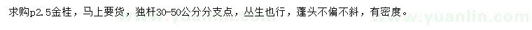 求購冠幅2.5米金桂