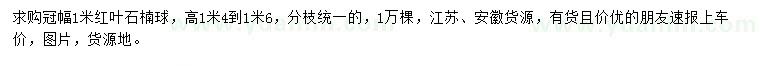 求購冠幅1米紅葉石楠球