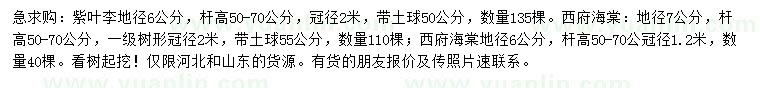 求購(gòu)地徑6公分紫葉李、6、7公分西府海棠