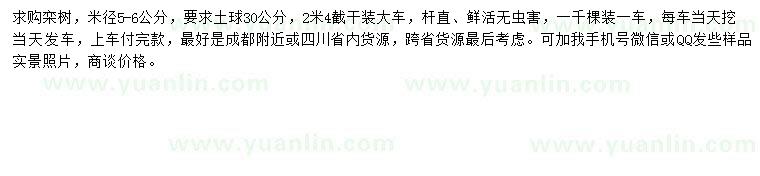 求購米徑5-6公分欒樹