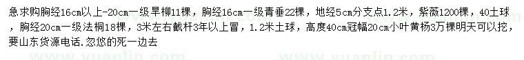 求購(gòu)旱柳、青垂柳、紫薇等