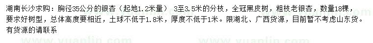 求購1.2米量35公分銀杏