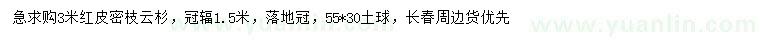 求購3米紅皮密枝云杉