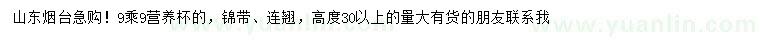 求購30量9公分錦帶、連翹