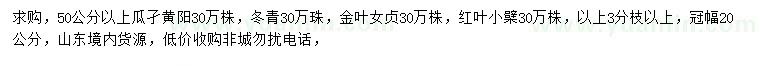 求購瓜子黃楊、冬青、金葉女貞等