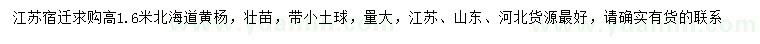 求購高1.6米北海道黃楊