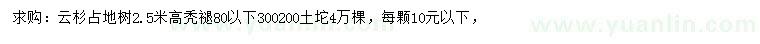 求購高2.5米云杉