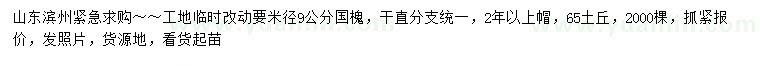 求購米徑9公分國槐