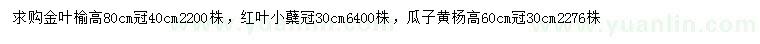 求購(gòu)金葉榆、紅葉小檗、瓜子黃楊等