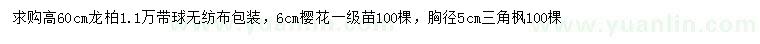 求購(gòu)龍柏、櫻花、三角楓等