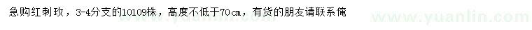 求購高70公分以上紅刺玫