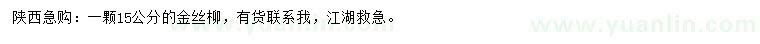 求購15公分金絲柳