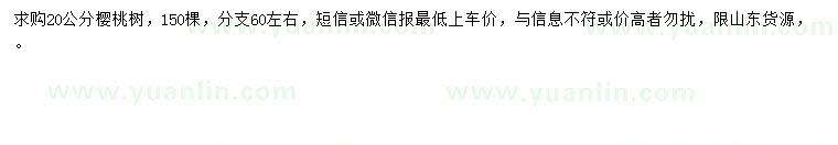 求購20公分櫻桃樹