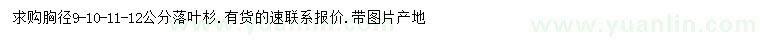 求購(gòu)9-12公分落葉杉