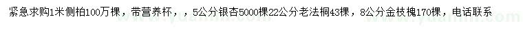 求購側(cè)柏、銀杏、老法桐等