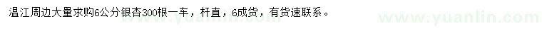 求購6公分銀杏