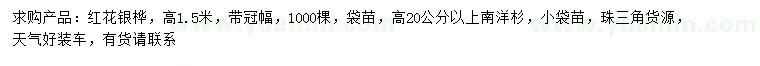 求購高1.5米紅花銀樺、高20公分以上南洋杉