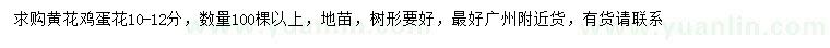 求購10-12公分黃花雞蛋花