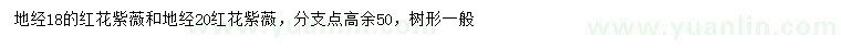 求購地徑18、20公分紅花紫薇