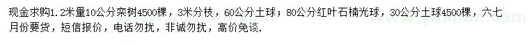 求購(gòu)1.2米量10公分欒樹(shù)、80公分紅葉石楠