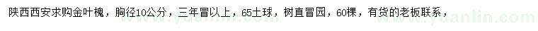 求購(gòu)胸徑10公分金葉槐