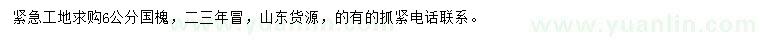求購(gòu)6公分國(guó)槐