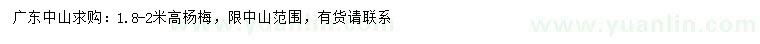 求購高1.8-2米楊梅樹