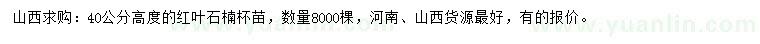 求購(gòu)高40公分紅葉石楠