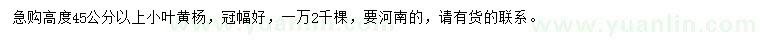 求購(gòu)高度45公分以上小葉黃楊