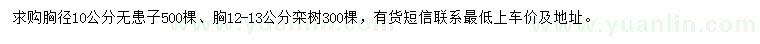 求購胸徑10公分無患子、胸12-13公分欒樹