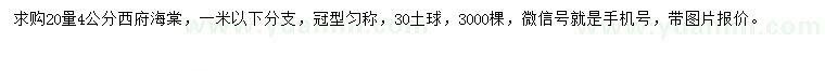 求購20量4公分西府海棠
