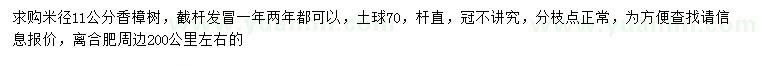 求購米徑11公分香樟