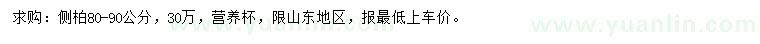 求購80-90公分側柏