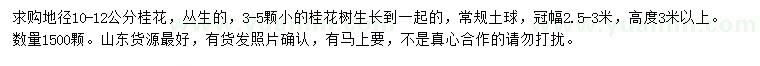 求購地徑10-12公分桂花