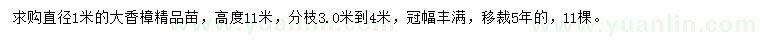 求購(gòu)1米香樟