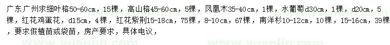 求購(gòu)細(xì)葉榕、高山榕、鳳凰木等