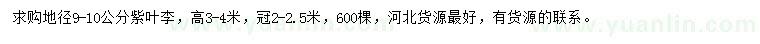 求購地徑9-10公分紫葉李